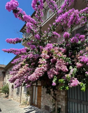 La Bouganville Assisi